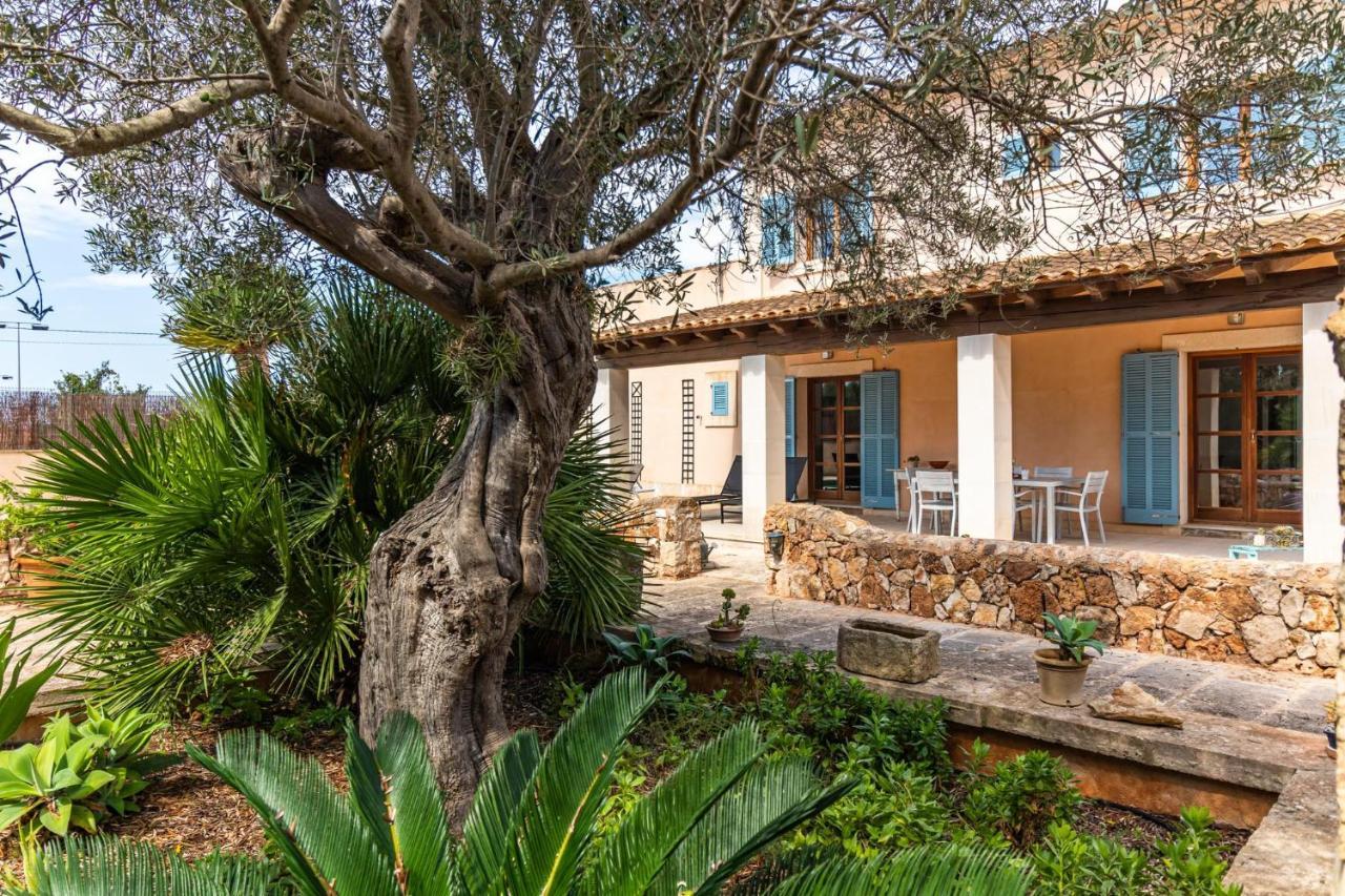 Hébergement de vacances Sa Bassa - Close To The Village